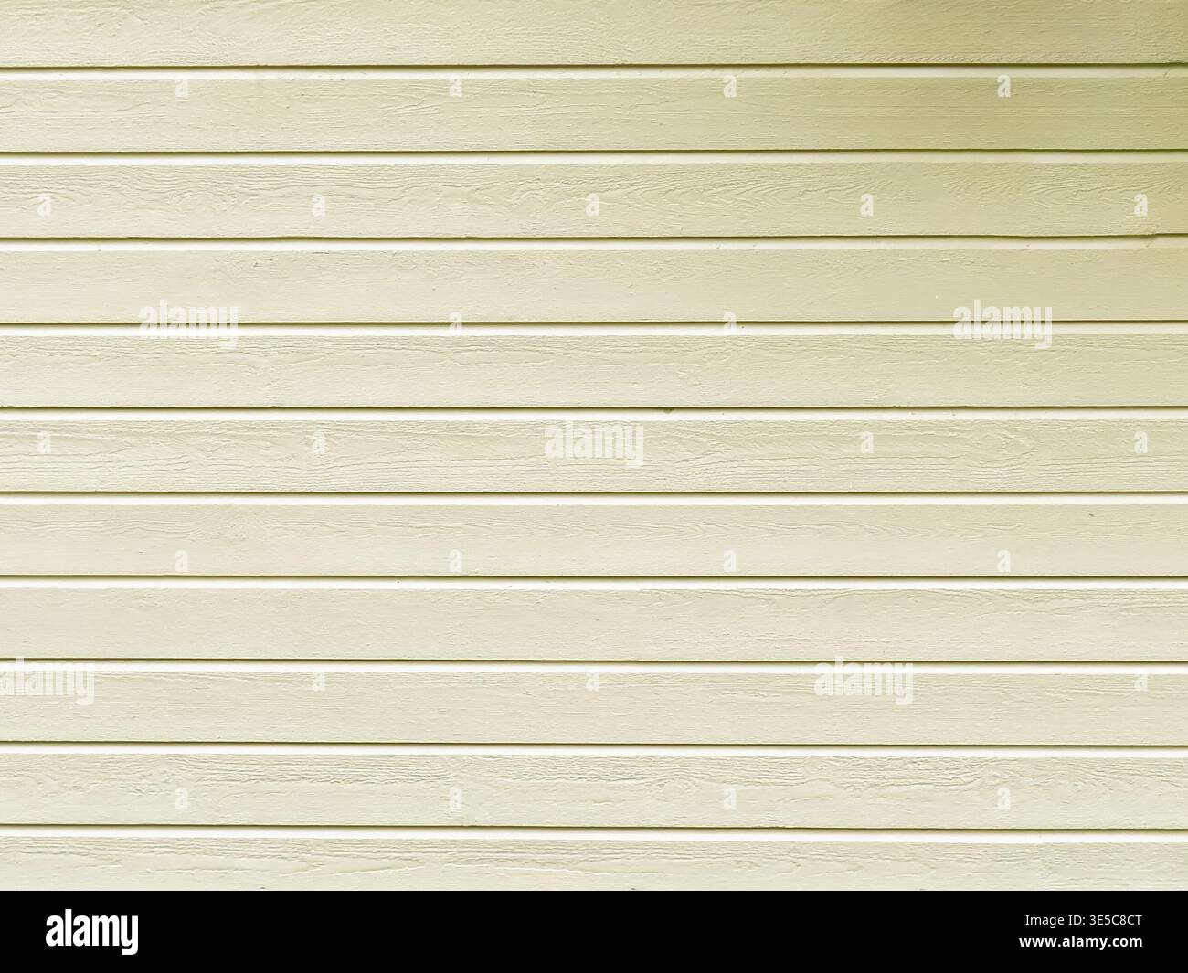 Sanftes Beige mit zarter Holzstruktur und gleichmäßigen Dielen. Weich strukturierter beigefarbener Seitenhintergrund mit gleichbleibender Holzmaserung Stockfoto