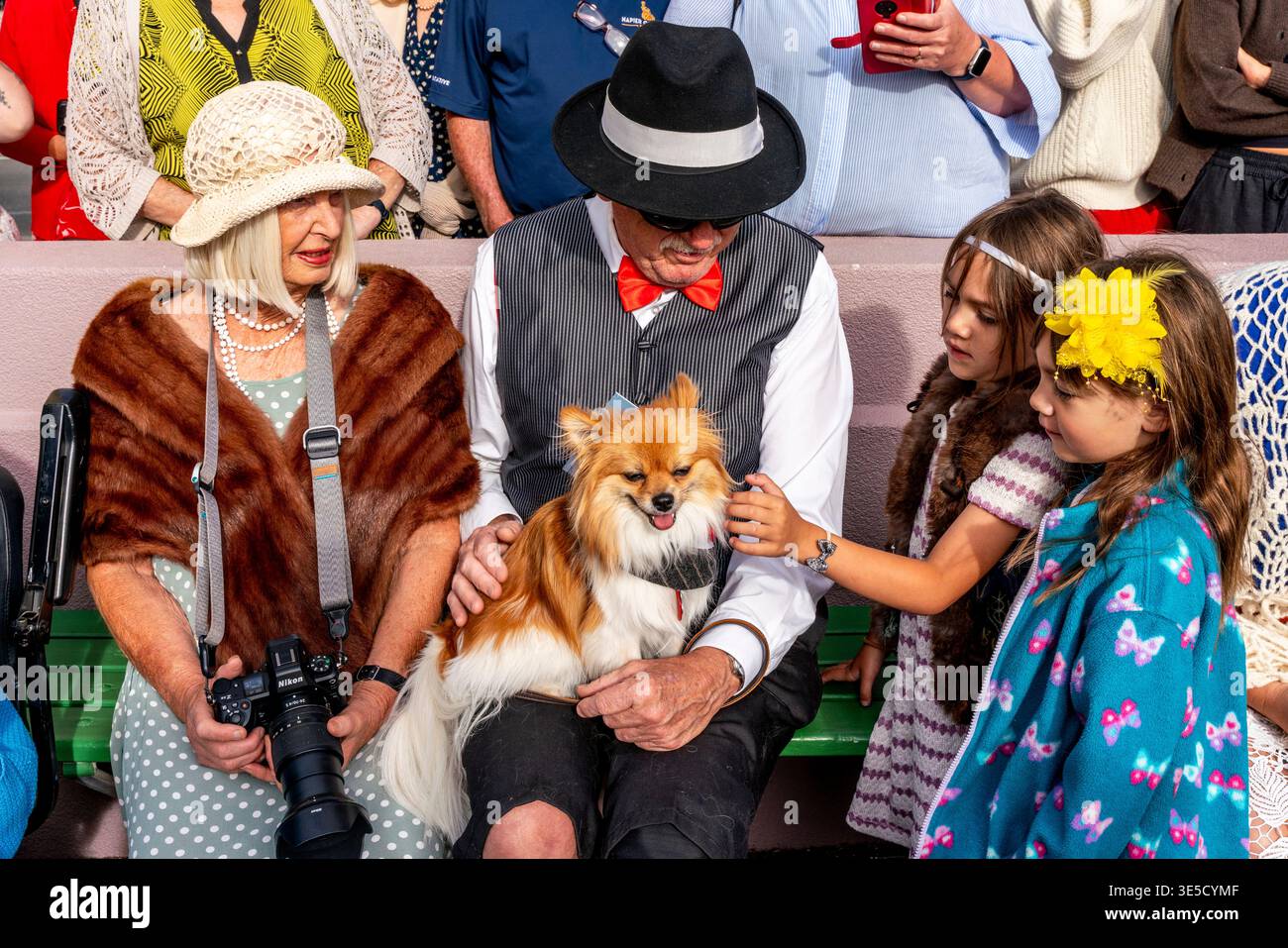 Kinder streicheln Einen Hund bei der jährlichen Deco Dog Parade, dem Napier Art Deco Festival, Napier, Hawke's Bay, Neuseeland Stockfoto