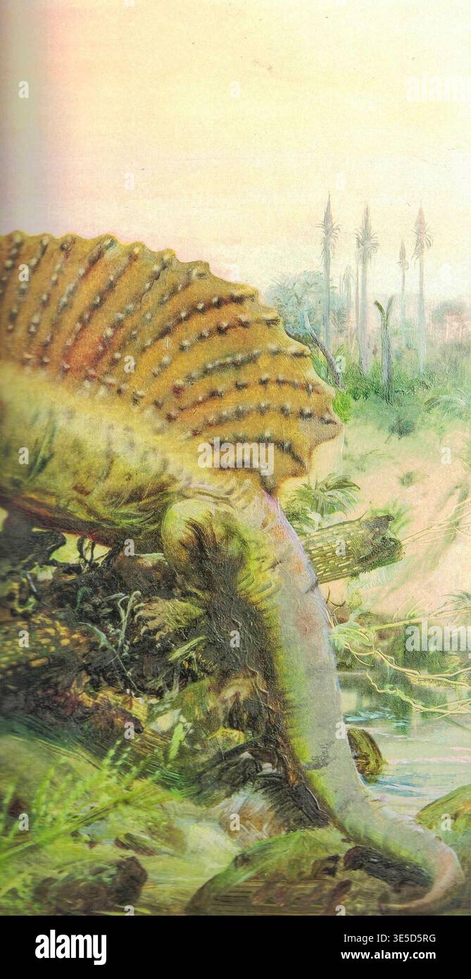 Edaphosaurus pogonias. Prähistorischer Spinosaurus mit Segelflosse in einer üppigen, alten sumpfigen Umgebung. Eine detaillierte Illustration zeigt den majestätischen Spinosaurus-Dinosaurier in seinem natürlichen Lebensraum, umgeben von dichter Vegetation und flachem Wasser. Stockfoto