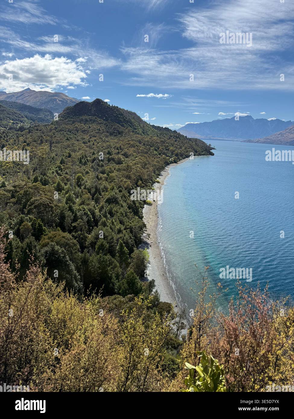 Bob's Cove Track in der Nähe von Queenstown - Smartphone-aufgenommenes Stockfoto