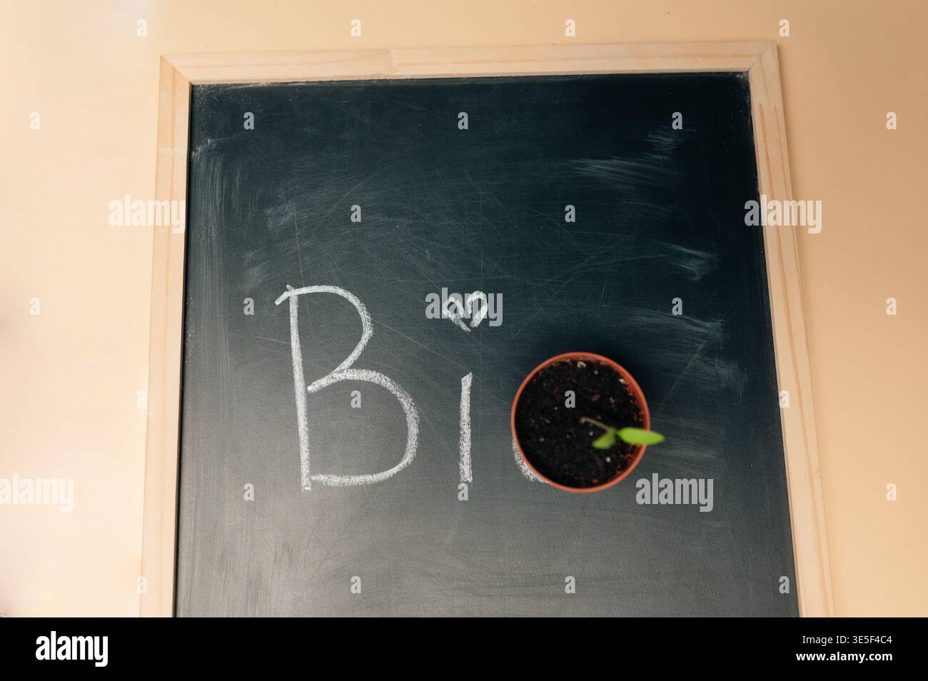 Experimentelle Umgebung Mit Winzigem Sprout In Der Nähe Des Kreideplatzes In Der Umgebung Des Forschungslabors Stockfoto