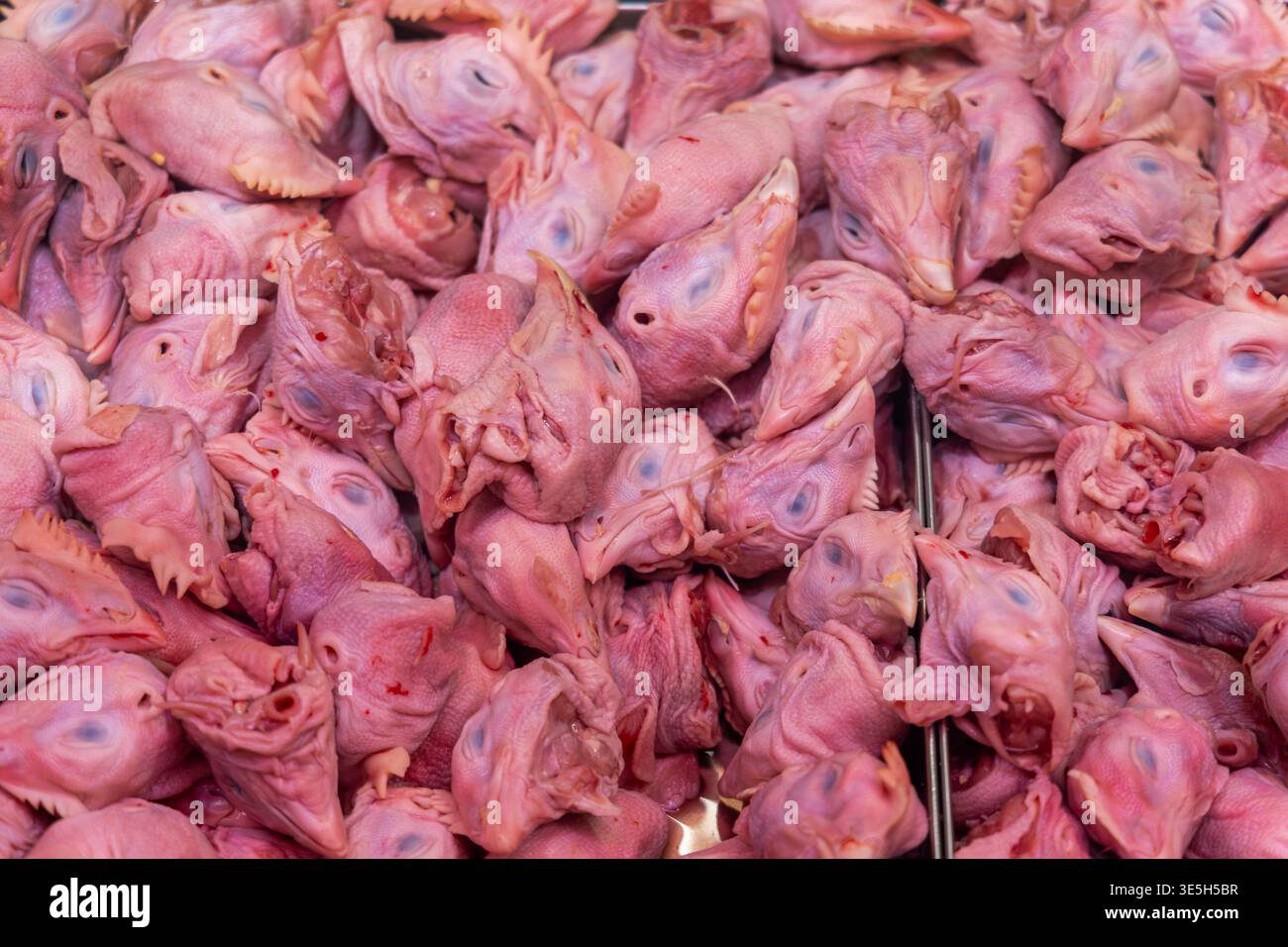 Rohe Geflügel Köpfe auf dem traditionellen Fleischmarkt. Nahaufnahme von rohen Geflügelköpfen, die auf einem traditionellen Fleischmarkt zum Verkauf gebracht werden und ungewöhnliche Lebensmittel zeigen Stockfoto
