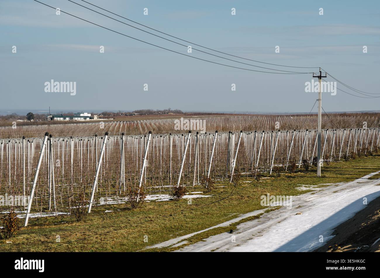 Frühlingsgarten Mit Strukturiertem Trellis-System Und Farm Management Tools Sichtbar Stockfoto