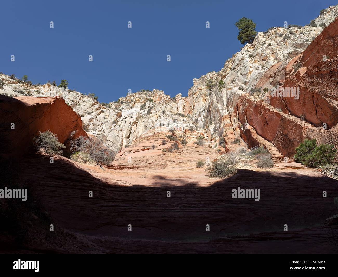 Red Hollow, Lage: Orderville UT Stockfoto