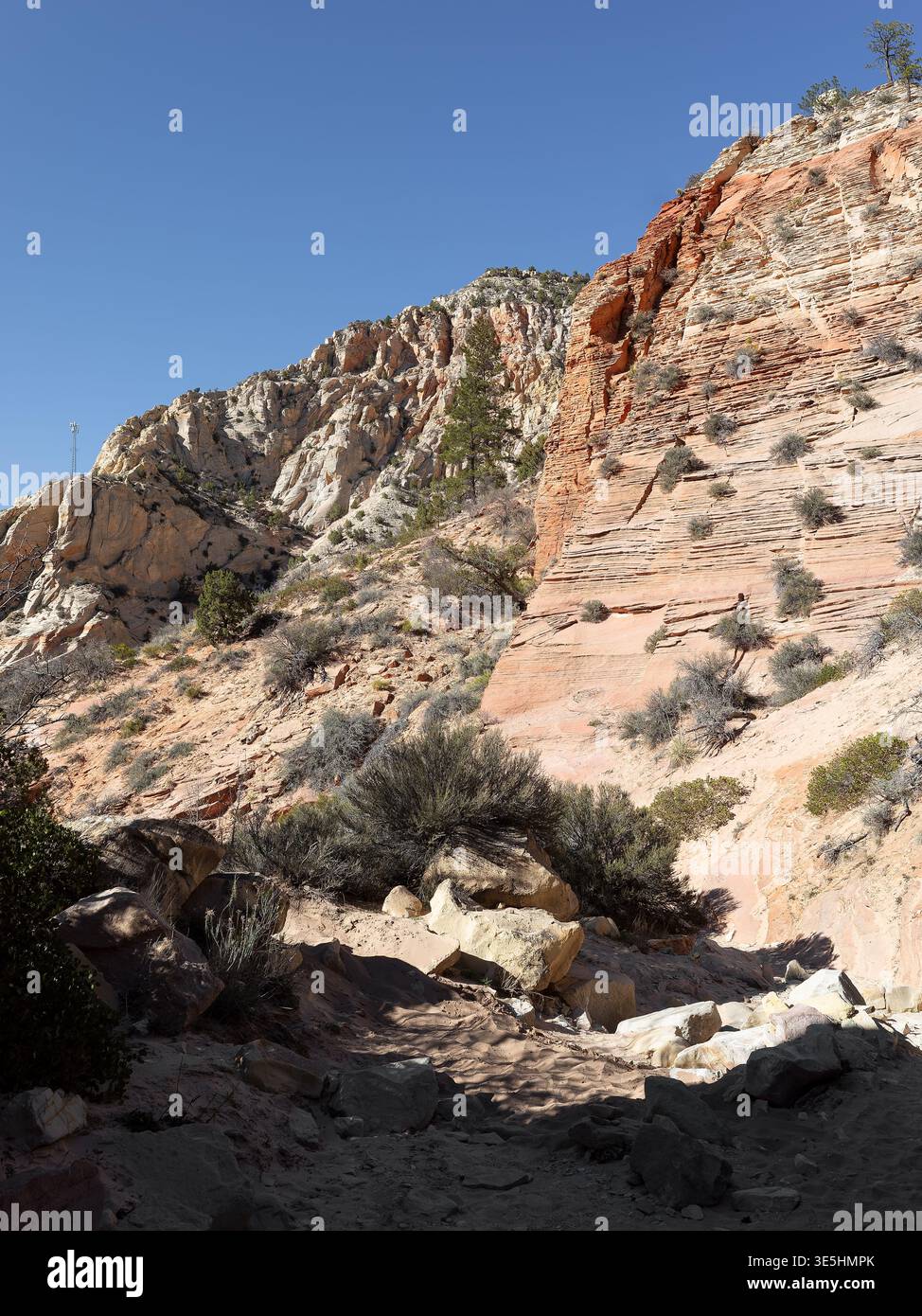 Red Hollow, Lage: Orderville UT Stockfoto