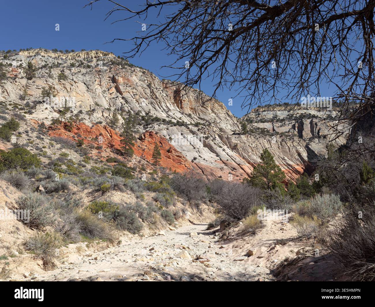 Red Hollow, Lage: Orderville UT Stockfoto