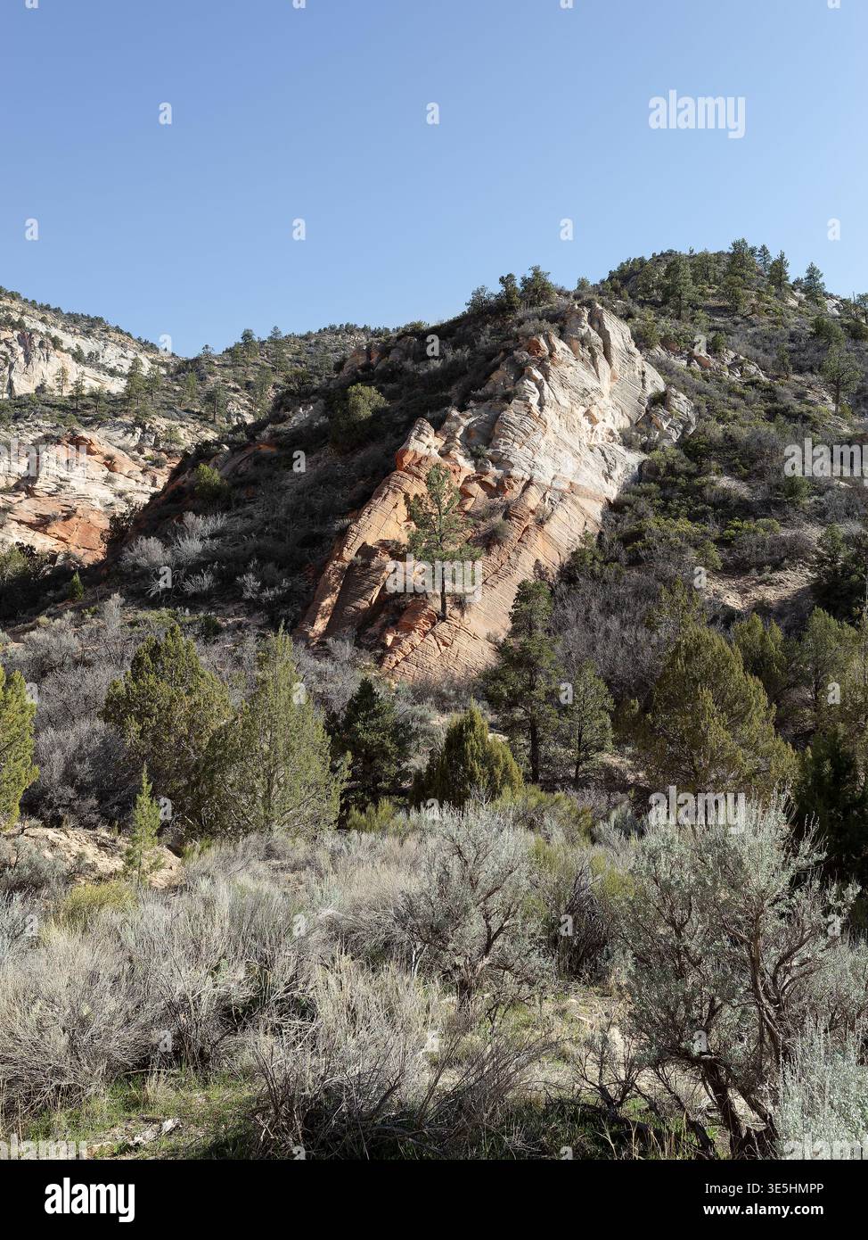 Red Hollow, Lage: Orderville UT Stockfoto