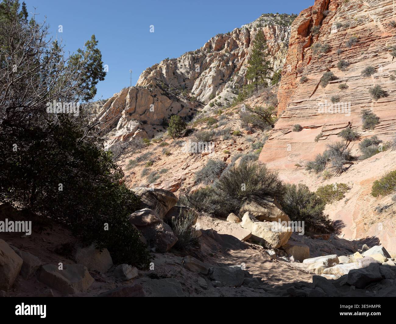 Red Hollow, Lage: Orderville UT Stockfoto