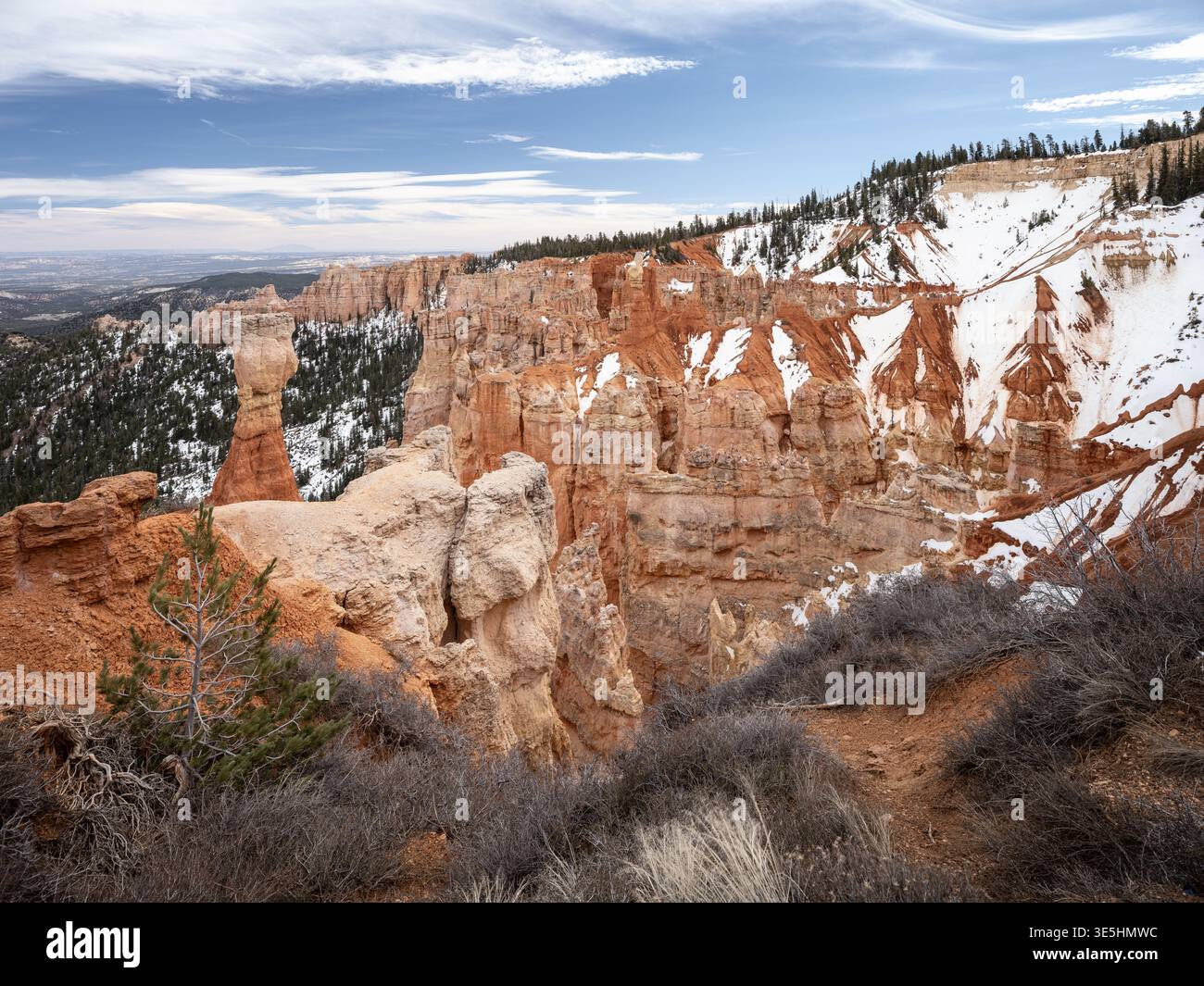 Bryce Canyon National Park, Lage: Bryce Canyon City UT Stockfoto