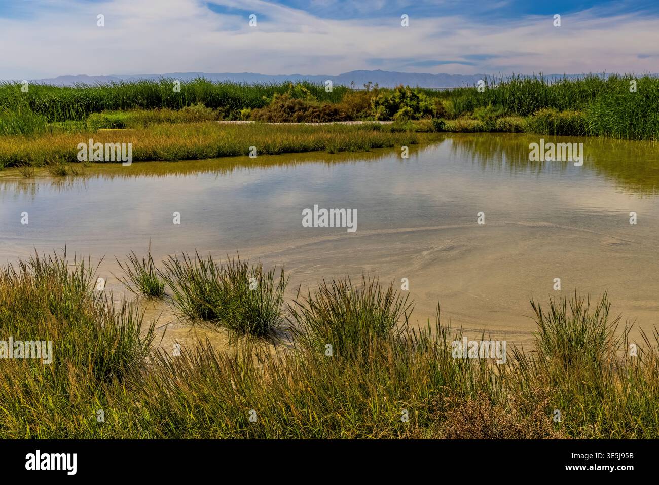 Das Salton Sea schrumpft, Kalifornien, USA Stockfoto