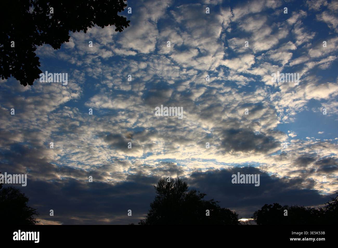 Ein dramatischer Himmel voller verstreuter Altocumulus-Wolken in der Abenddämmerung, die tiefblaue Flecken enthüllen. Silhouetten umrahmen die lebendige Atmosphäre Stockfoto