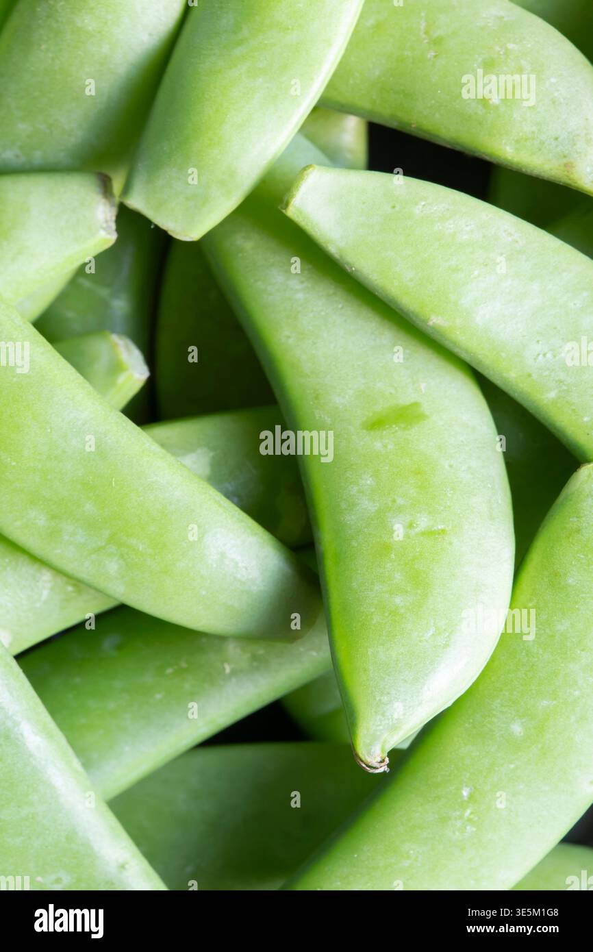 Zuckererbsenschoten im Hintergrund. Gesunde Ernährung entwickeln Sie Ihr eigenes Konzept. Stockfoto