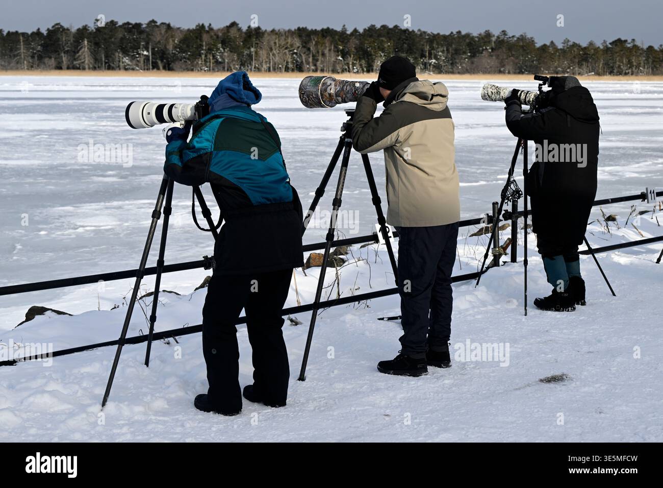 Gruppe von Amateurfotografen, die Vögel im See Furen, Hokkaido Island, Japan fotografieren. Stockfoto