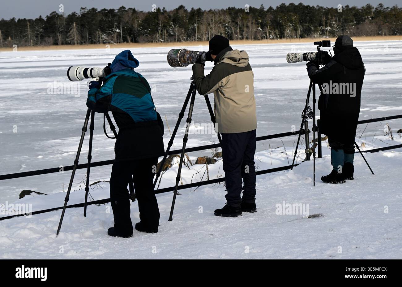 Gruppe von Amateurfotografen, die Vögel im See Furen, Hokkaido Island, Japan fotografieren. Stockfoto