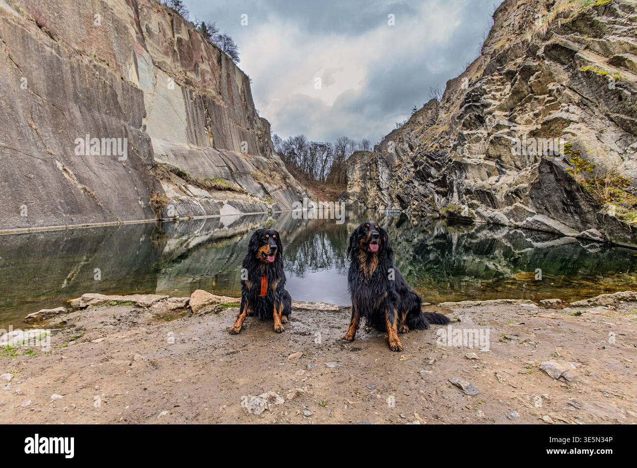 Zwei Hovawart-Hunde, Canis Lupus familiaris, posieren neben einem reflektierenden Steinbruchsee, der von felsigen Klippen umgeben ist. Stockfoto