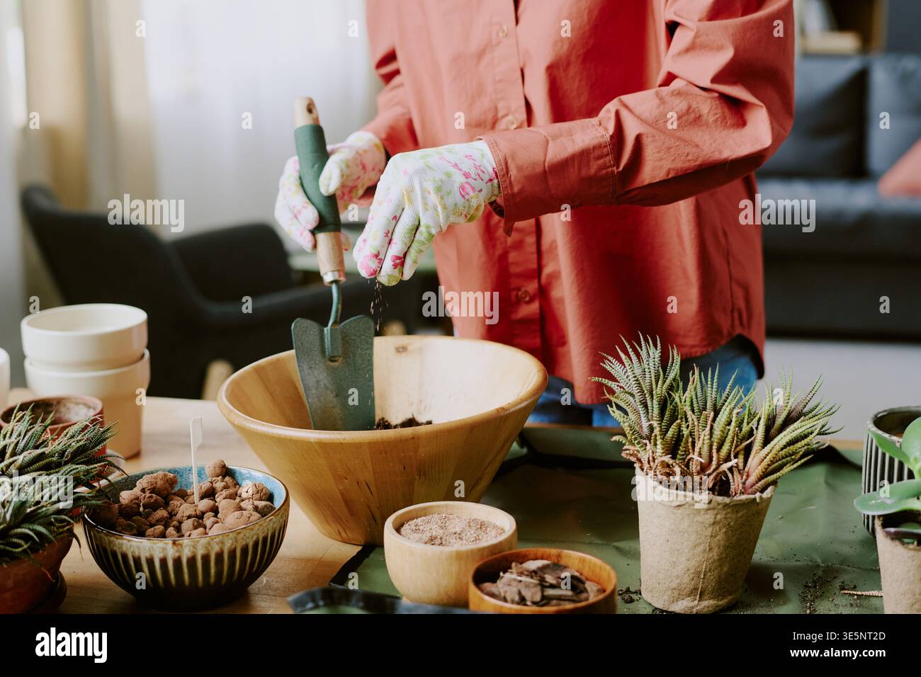 Erwachsene Frau, die Zimmerpflanzen für Home Gardening Hobby umtopft Stockfoto