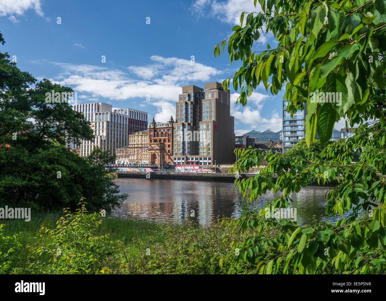 Blick auf den Fluss entlang der Clyde Street und des Carlton Place in Glasgow, umrahmt von üppigem Grün, mit Reflexionen historischer und moderner Gebäude auf der W Stockfoto