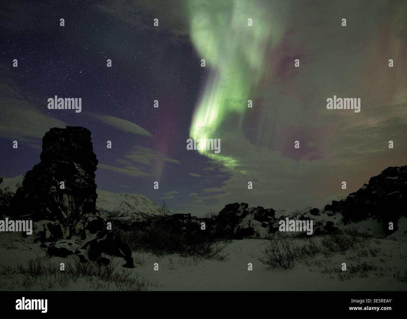 Starke aurora borealis durch die Wolken in Thingvellir Island Stockfoto