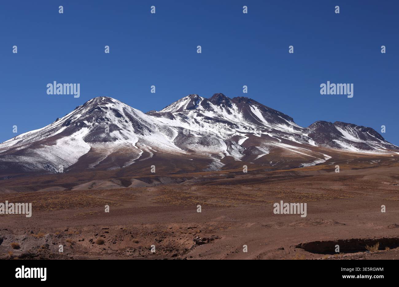 Andenlandschaft im Norden Chiles Stockfoto