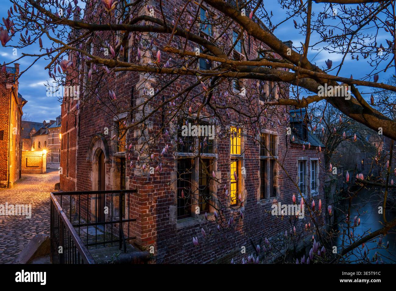 Nachtblick auf den Leuven Beguinage. Die Ziegelfassade mit leuchtenden Fenstern reflektiert den Kanal, eingerahmt von blühenden Ästen. Ein ruhiges und historisches AT Stockfoto