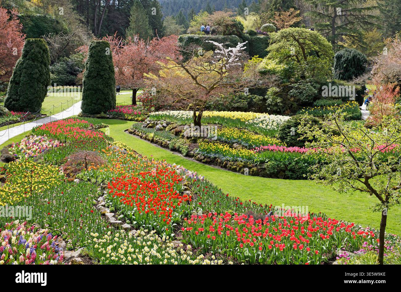 Malerischer Blick auf die malerischen Blumenbeete des Sunken Garden von oben im Frühjahr, Butchart Gardens, Vancouver Island, British Columbia, Kanada. Stockfoto