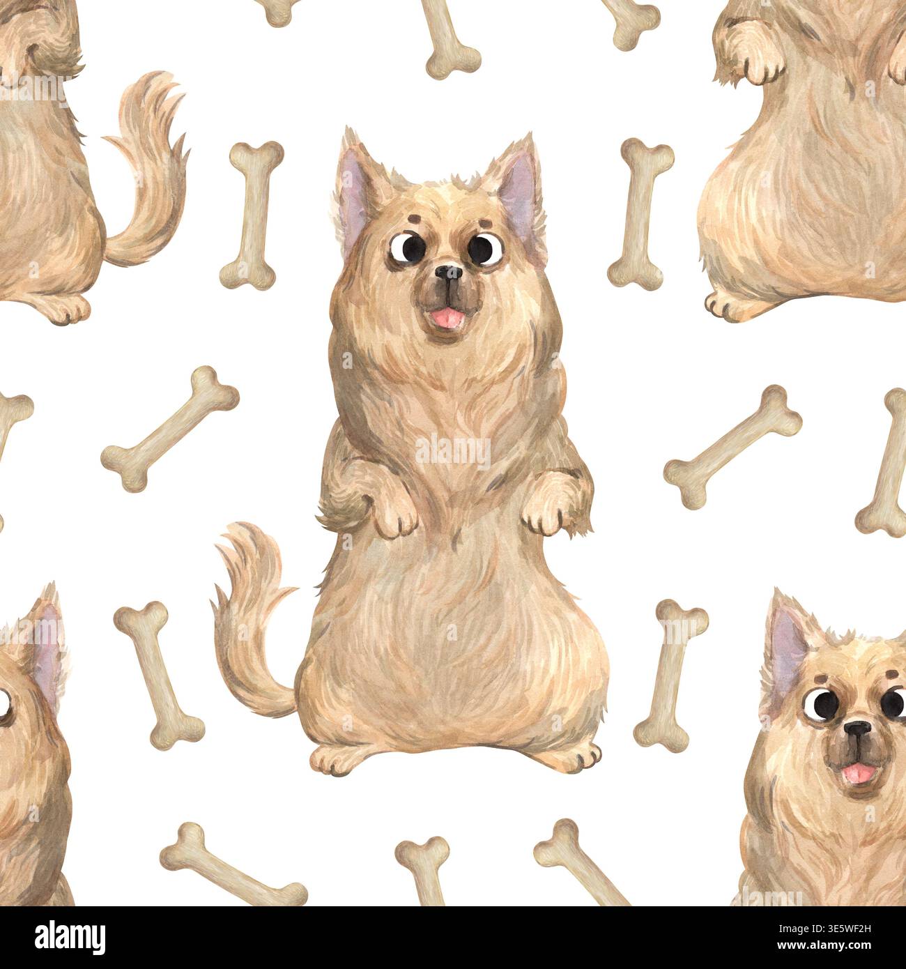 Ein nahtloses Aquarellmuster mit Chihuahua und Knochen Stockfoto
