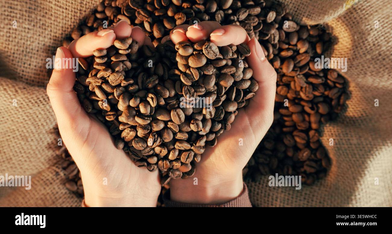 Hände, Personen und geröstete Bohnen für Kaffeeproduktion, Texturen und nachhaltige Ernte. Granulat, arabica-Körnung und Herstellungsprozess mit Stockfoto