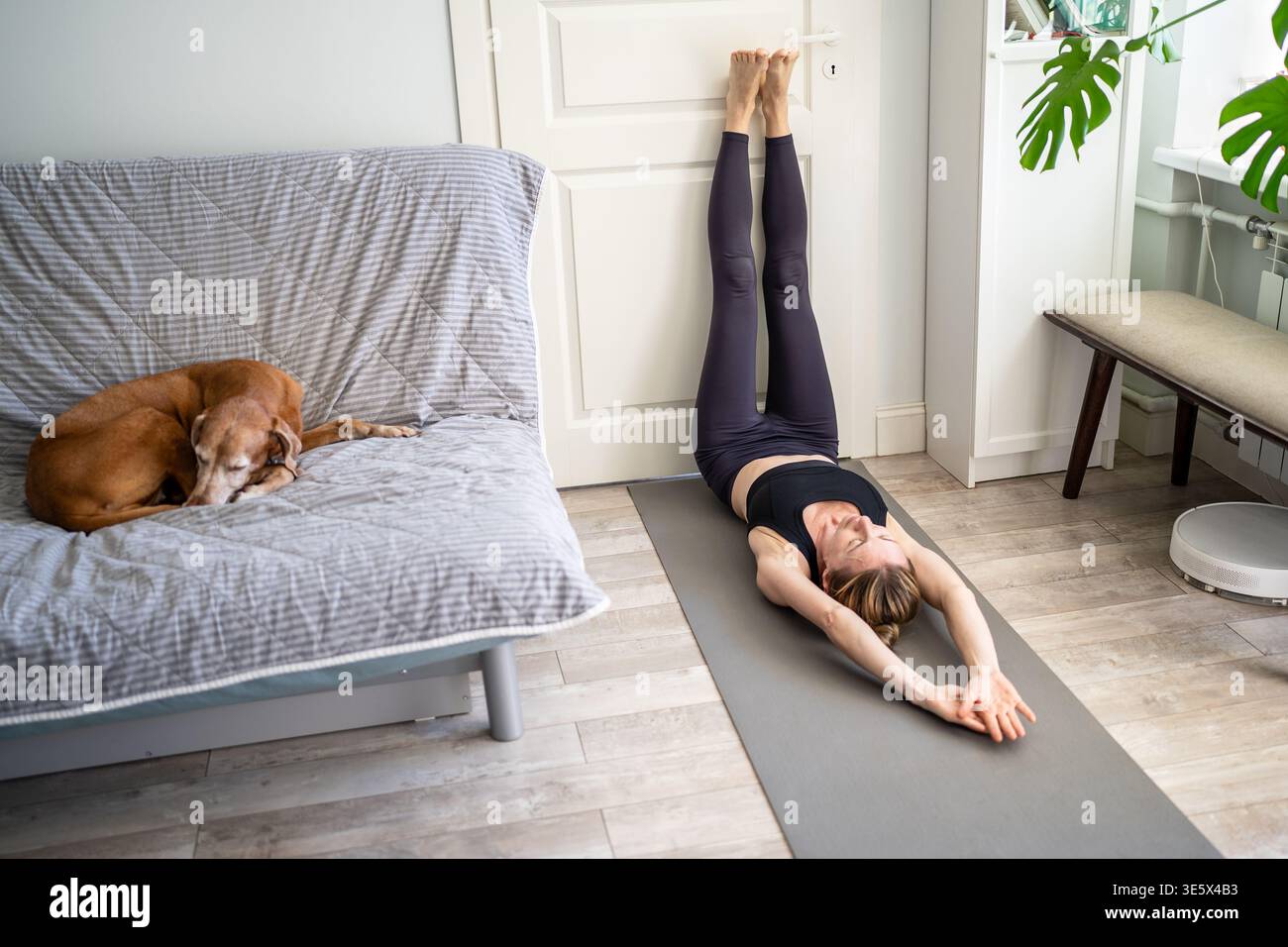 Spirituelle Frau, die auf Yogamatte liegt, mit Füßen gegen die Tür, Arme über dem Kopf gestreckt, Hundeschlaf auf dem Sofa Stockfoto