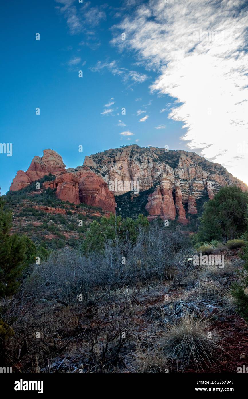 Red Rock Canyon Klippen und Wüstenvegetation unter dramatischem Himmel Stockfoto