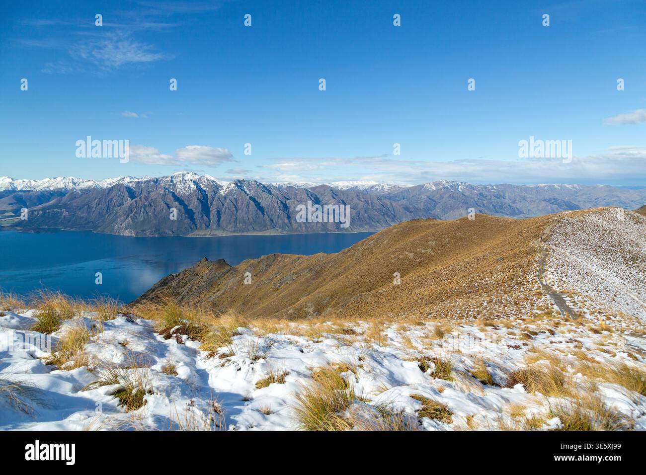 Lake Hawea und die südlichen Alpen vom Isthmus Peak Track aus gesehen, Wanaka, Otago, Neuseeland Stockfoto