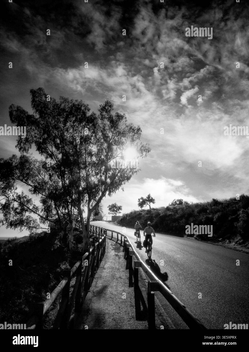 Radfahrer auf der Straße von Frigiliana nach Torrox, Provinz Malaga, Andalusien, Spanien Stockfoto