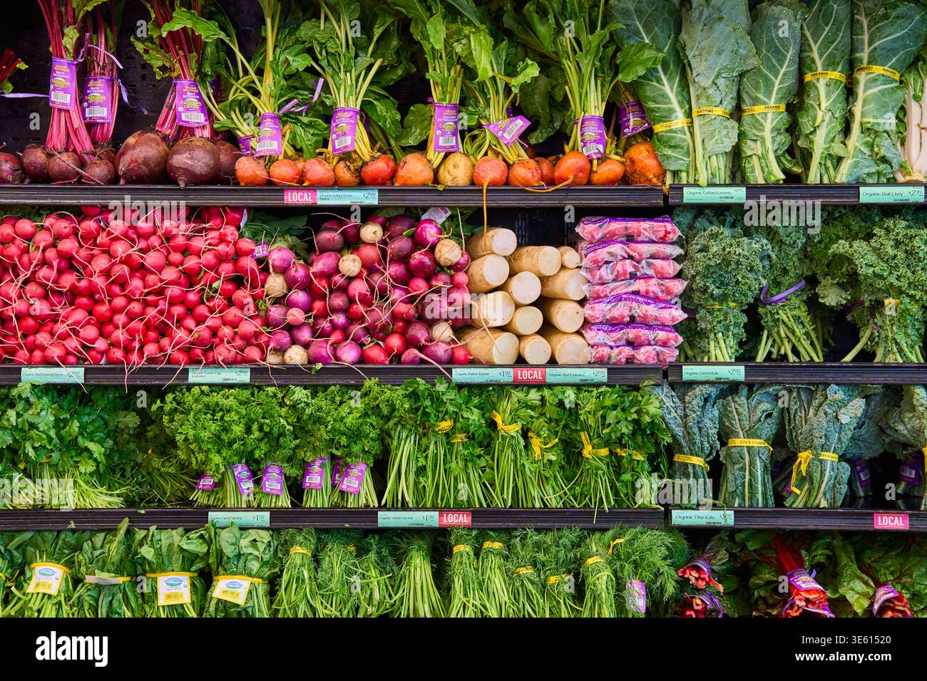 Frisches Bio-Gemüse in Supermarktregalen. Verschiedene Radieschen, Rüben, Karotten und Blattgemüse. Konzept von gesunder Ernährung und Lebensmitteleinkauf. Stockfoto