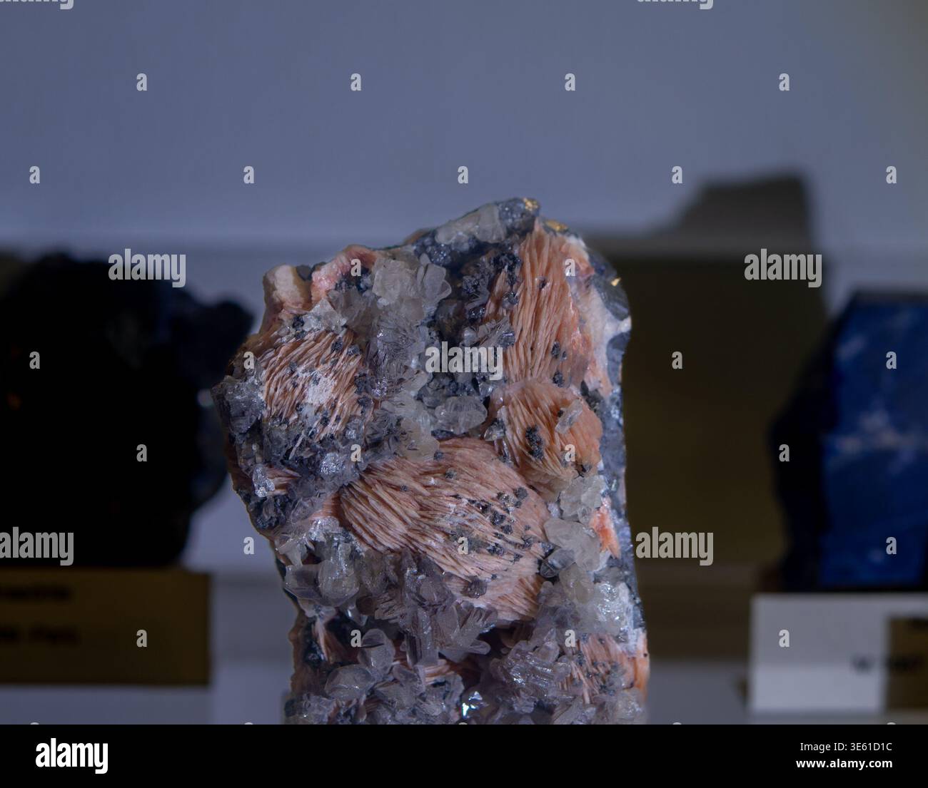 Schöne polierte Sektion einer blauen Quarzgeode mit natürlichen konzentrischen Bändern aus Brasilien, ausgestellt auf einem Stand. Stockfoto