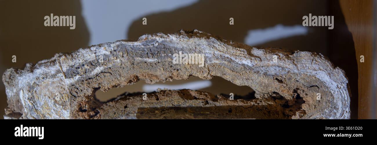 Schöne polierte Sektion einer blauen Quarzgeode mit natürlichen konzentrischen Bändern aus Brasilien, ausgestellt auf einem Stand. Stockfoto