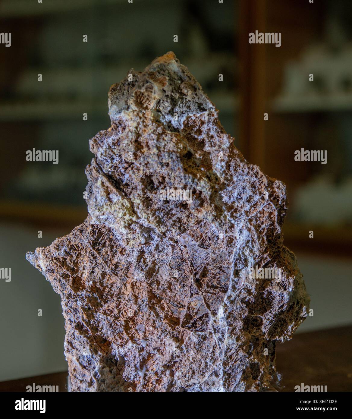 Schöne polierte Sektion einer blauen Quarzgeode mit natürlichen konzentrischen Bändern aus Brasilien, ausgestellt auf einem Stand. Stockfoto