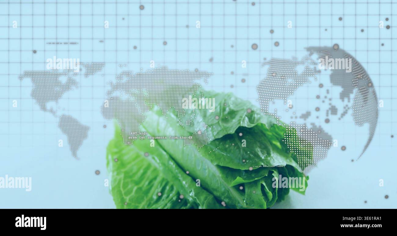 Mit frischem romainischem Salat, der Wassertröpfchen auf hellem Untergrund zeigt, mit gepunkteter Weltkarte Stockfoto