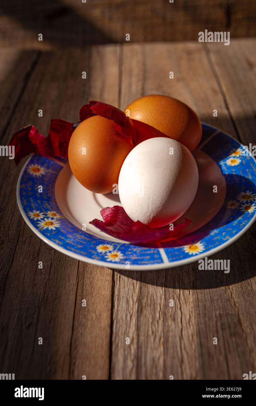 Osterstilleben mit natürlich gefärbten braunen Eiern und weißem Ei auf einem Blumenteller mit roten Zwiebelschalen auf natürlichem Sonnenlicht. Stockfoto