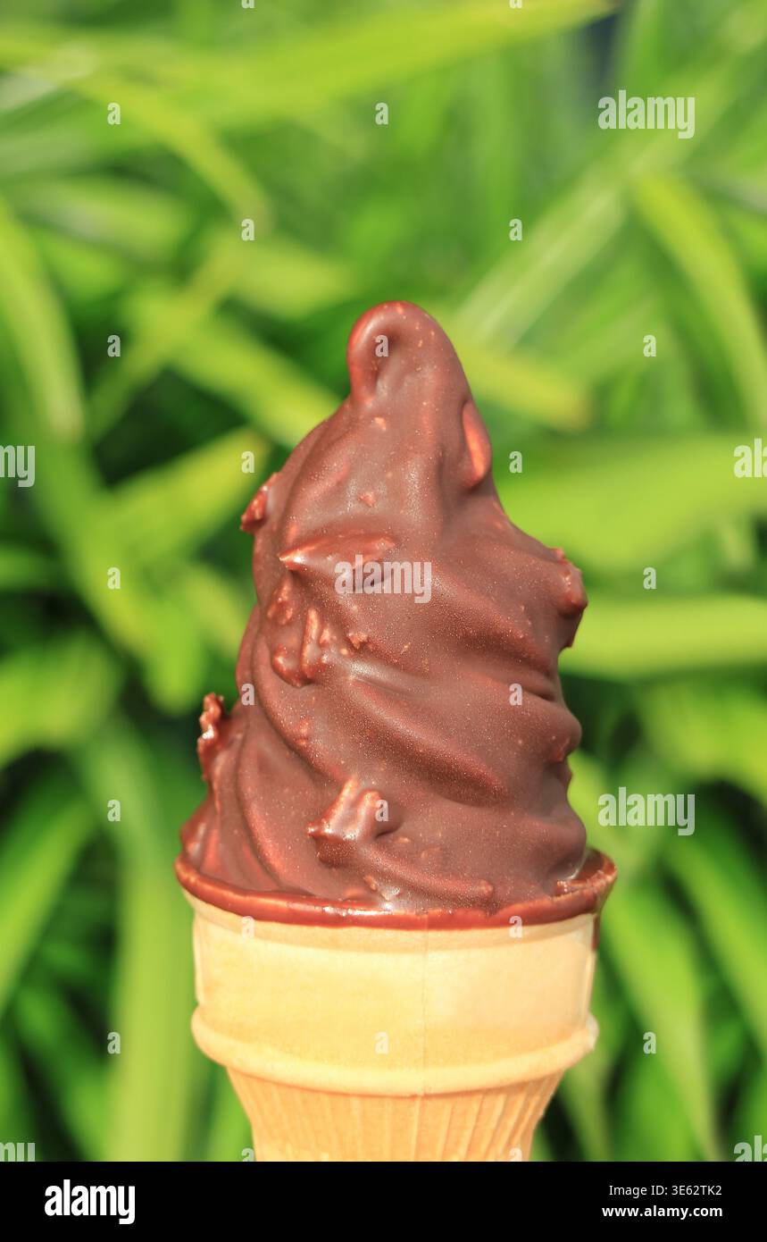 Köstlicher Schokoladeneiskegel mit weicher Portion Eiscreme gegen grünes Laub Stockfoto