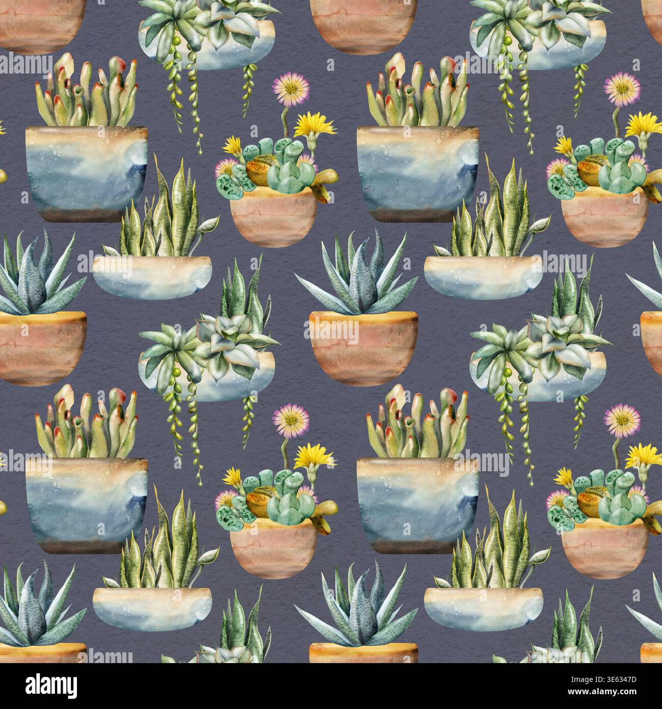 Rosettensukkulenten, Lithops, sansevieria-Triebe, Crassula in Keramiktöpfen. Nahtloses botanisches Muster, handgezeichnet in Aquarell. Stoffdesign Stockfoto