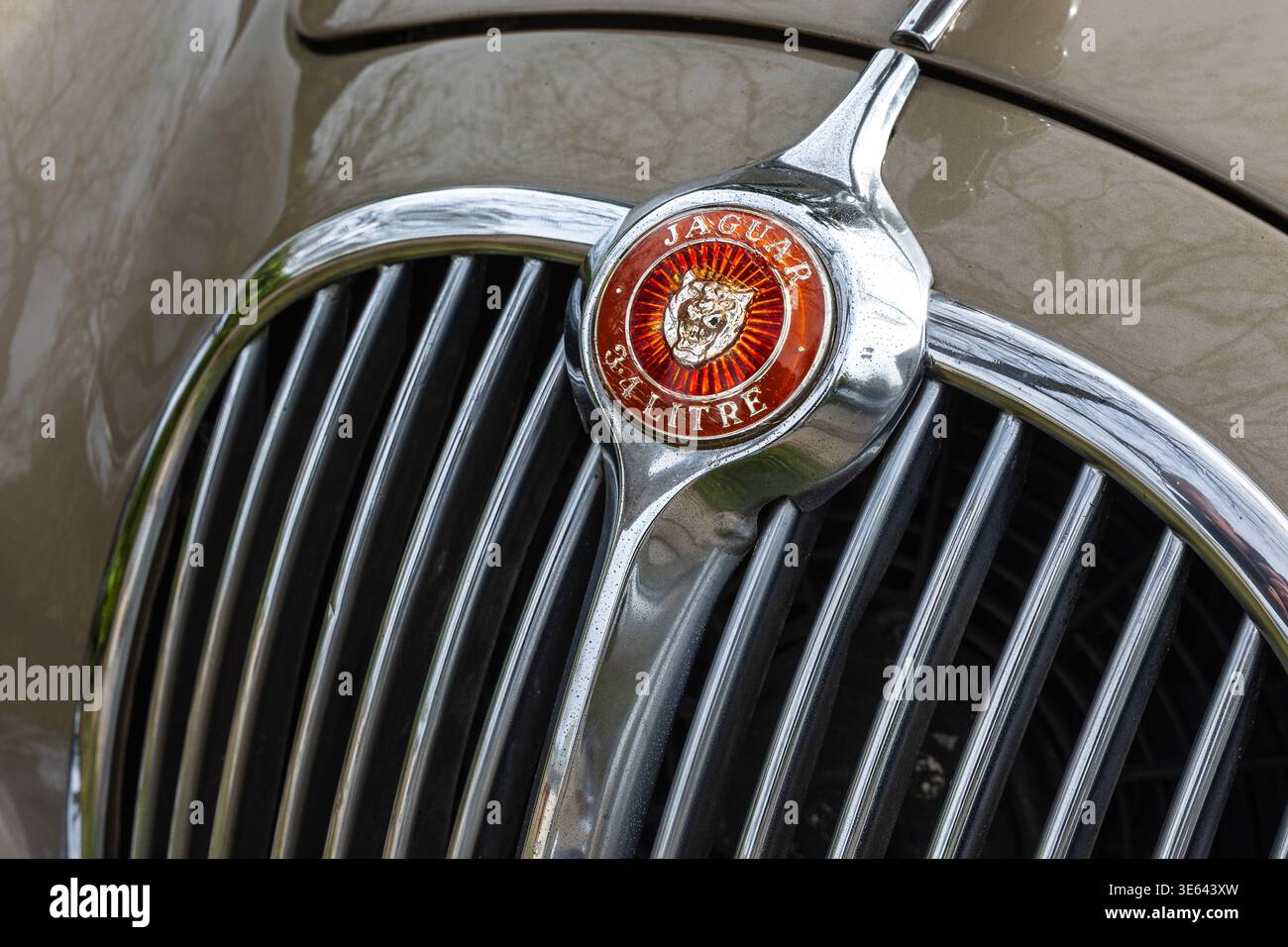 Jaguar Mark 2 3,4-Liter-Logo auf der Motorhaube. Stockfoto