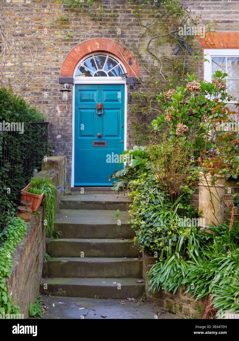Traditionelle Holztür und Vorgarten des Reihenhauses in Flask Walk, Hampstead, London, Großbritannien Stockfoto