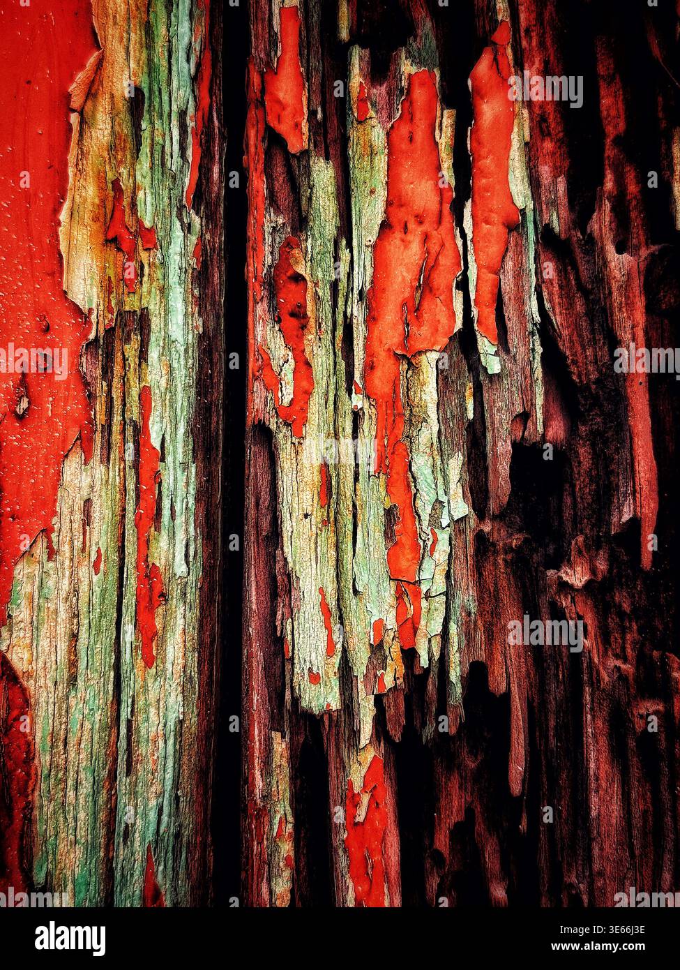 Nahaufnahme der verwitterten Holzoberfläche mit abblätternder roter Farbe mit verwitterter Textur und Rissen Stockfoto
