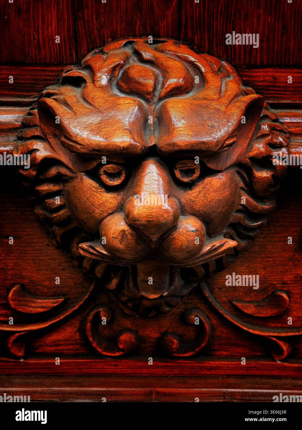 Detail einer kunstvollen Holztür mit handgeschnitzter Löwenkopf-Skulptur als dekorativen Akzent Stockfoto