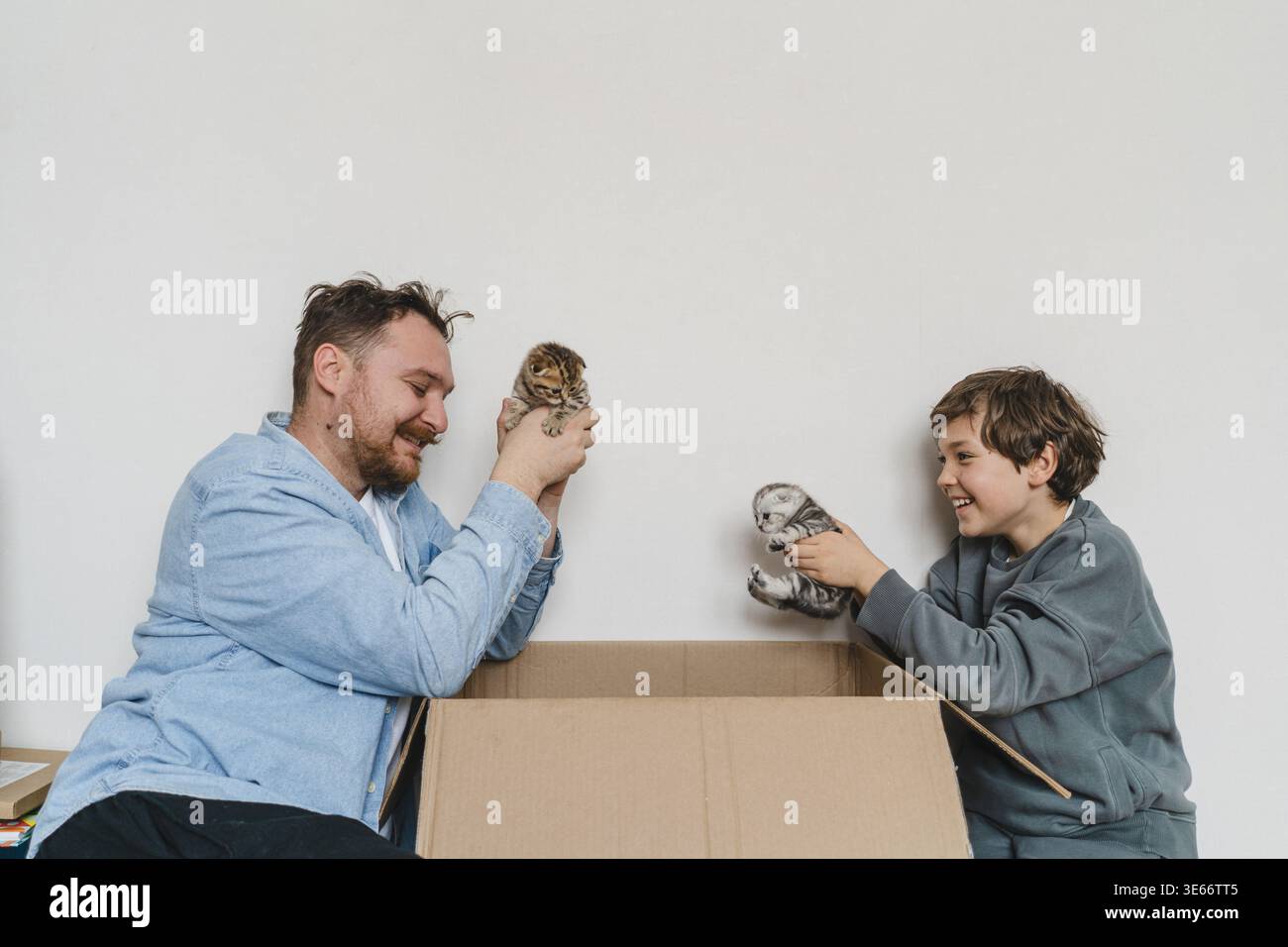 Vater und Sohn genießen die Zeit zusammen, während sie mit Kätzchen spielen. Stockfoto