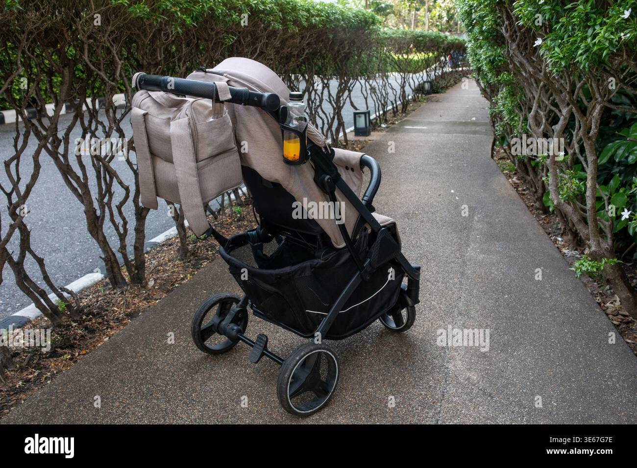 Moderner grau-schwarzer Kinderwagen mit einem orangen Getränk in einem Flaschenhalter, geparkt auf einem gepflasterten Weg zwischen grünen Hecken in einem tropischen Park Stockfoto
