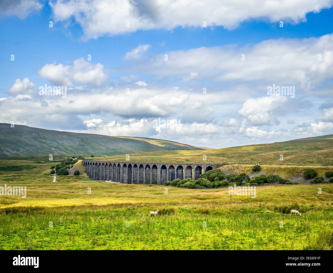 Das Ribblehead Viaduct ist eine beliebte Attraktion im Yorkshire Dales National Park an der Bahnstrecke Settle to Carlisle. Stockfoto