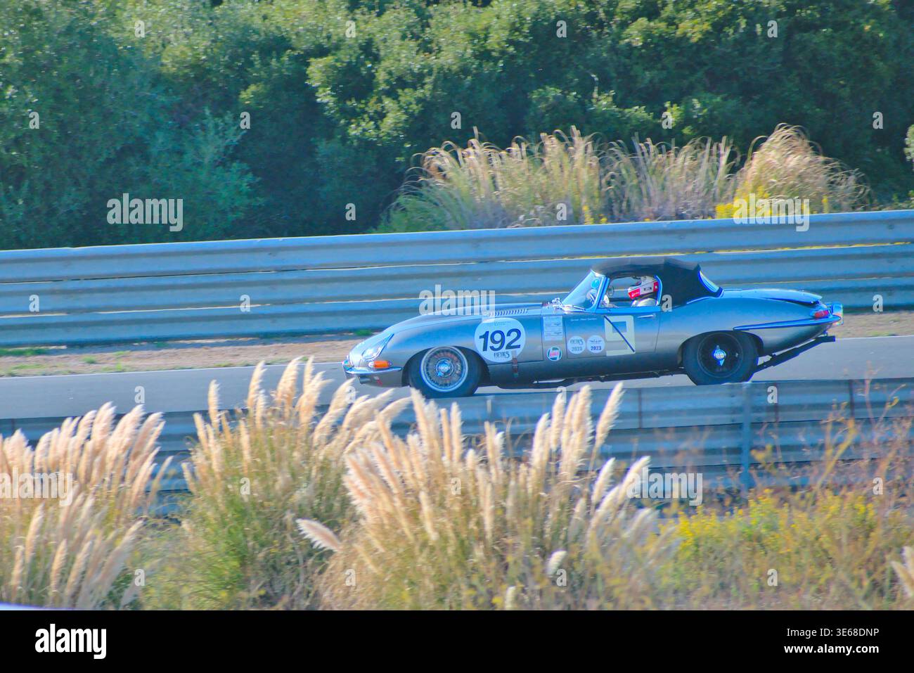 Der Jaguar E-Type 3,8 #192 fährt auf der Strecke in Estoril in Richtung Curva Orelha, gemeinsam mit Marc Gordon und Nick Finburgh in der größten Trophäe in Estoril Stockfoto