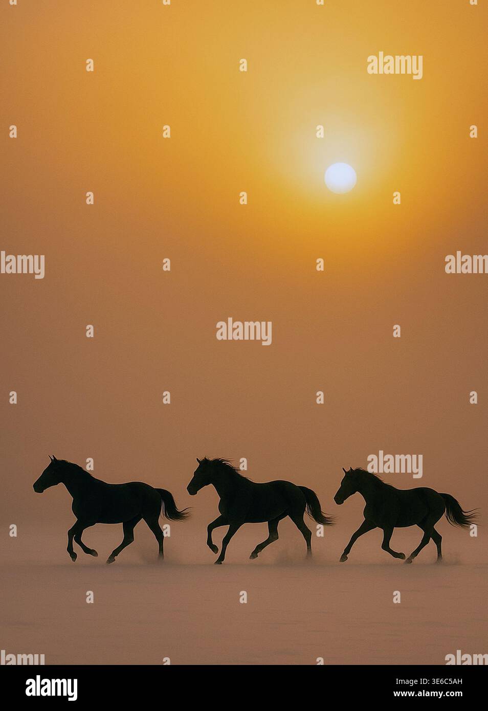 Concept Running Horses Sunrise. Naturtier. Ai Generieren Stockfoto
