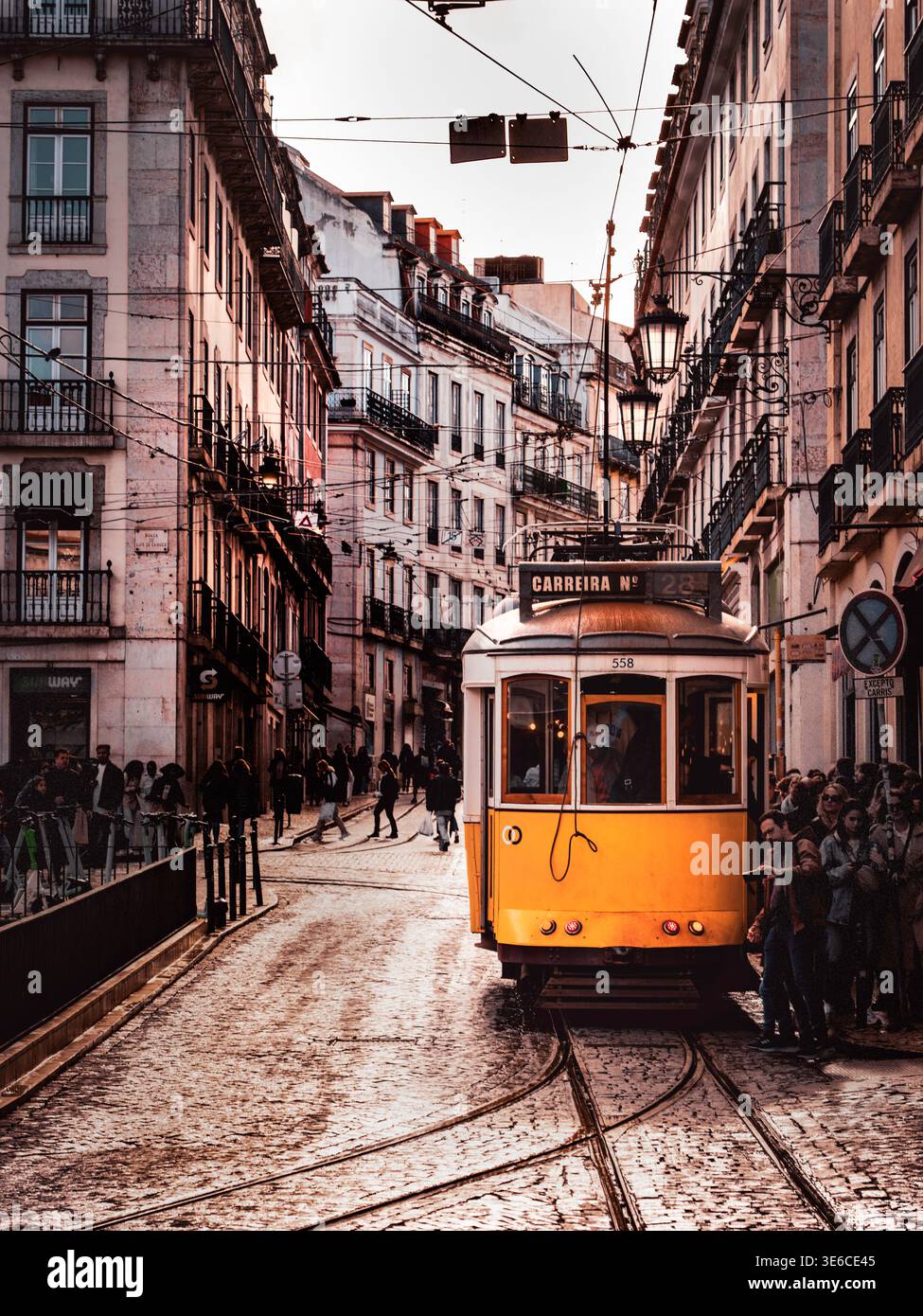 Straßenbahnen in Lissabon Stockfoto