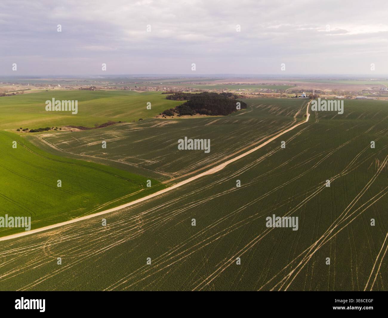 Aus der Vogelperspektive auf sanfte grüne Felder mit kurviger Schotterstraße und Traktorspuren unter bewölktem Frühlingshimmel Stockfoto